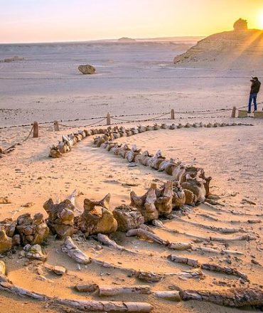 Whales Valley and Wadi El Rayan Waterfalls in El Fayoum from Cairo